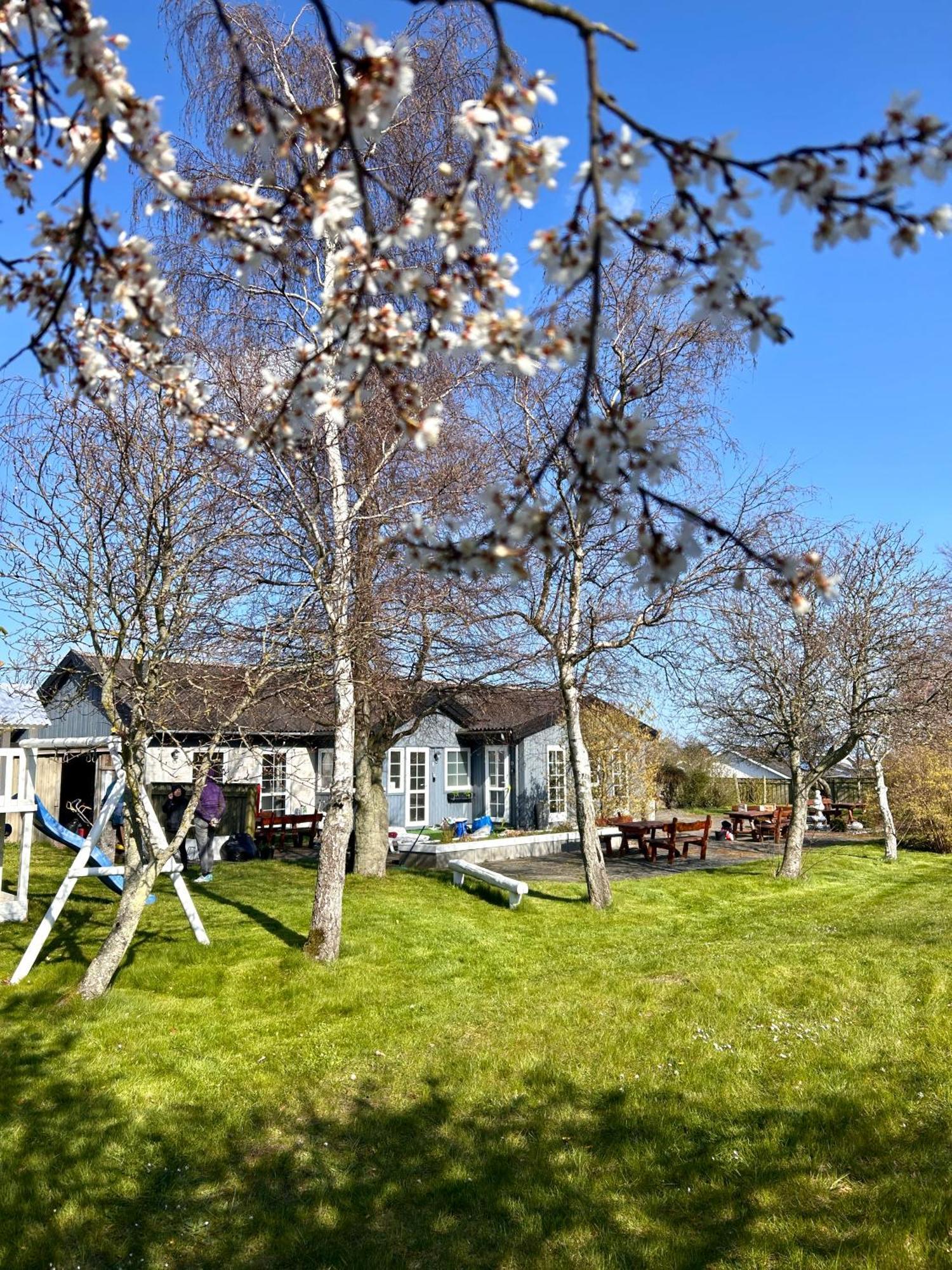 Apartamenty Neksø Kültér fotó